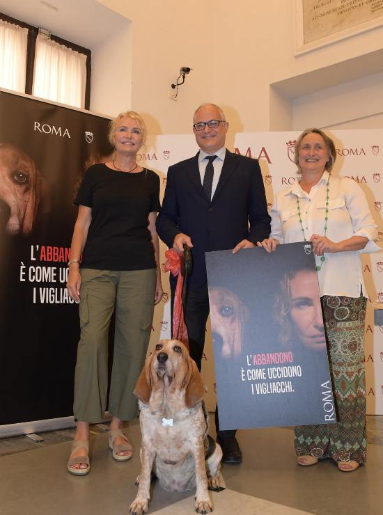 campagna abbandono animali Licia Colo' 