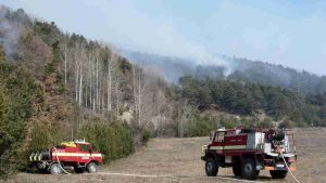 Nucleo antincendi boschivi del corpo forestale valdostano (Immagine di repertorio)