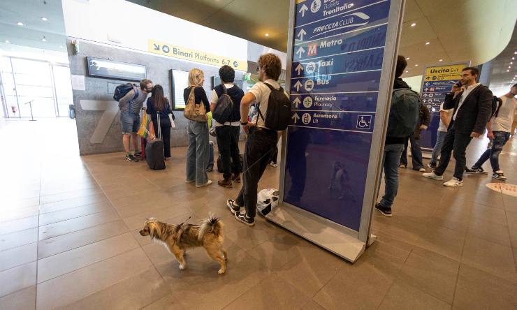 Mobilità ridotta. Stazione tiburtina.Cronacalive.itjpg