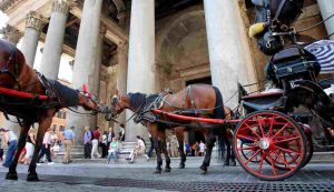 Due botticelle in sosta davanti al Pantheon a Roma (Immagine di repertorio)