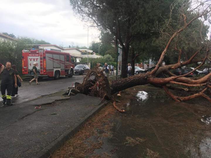 L'abero caduto a causa della forte tempesta ha ucciso una donna nella provincia di Monza