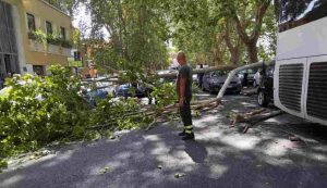 Gualtieri sull'albero caduto sul Lungotevere Tor di Nona