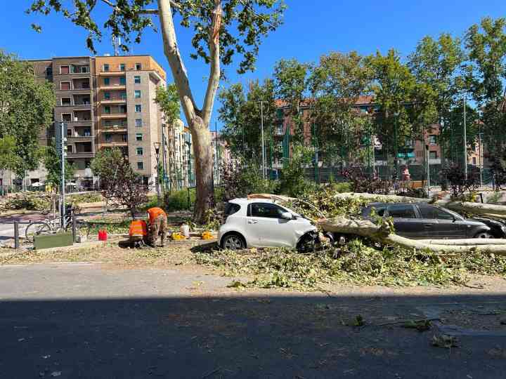 Emergenza maltempo a Milano (Foto dal profilo Twitter dell'Esercito)