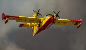 Incendio devasta ettari di uliveti in Ciociaria