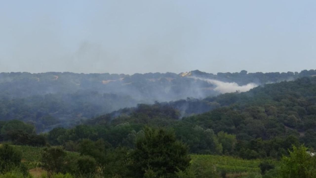 Incendio nel sud Pontino. A fuoco boschi e macchia mediterranea. Roma-CronacaLive.it