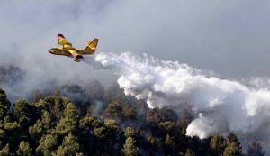 Un Canadair in azione in provincia di Roma (Immagine di repertorio)