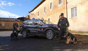 Arresto in flagranza per pusher 31enne a Itri