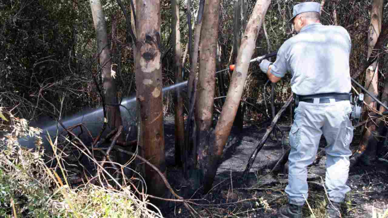 Sorpreso mentre appiccava un incendio