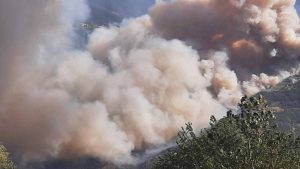 Incendio boschivo in Valle d'Aosta (Immagine di repertorio)