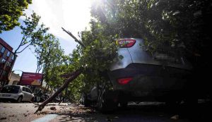 Disagi causati dal maltempo a Roma