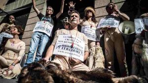 Manifestazione animalista (Immagine di repertorio)