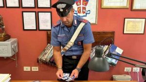 Preso il ladro delle carte di Pokemon. Fonte Ansa_U.S. Carabinieri