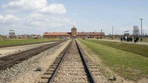 VIaggio_Memoria_Auschwitz birkenau