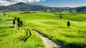 Campi verdi della Val d'Orcia, Toscana