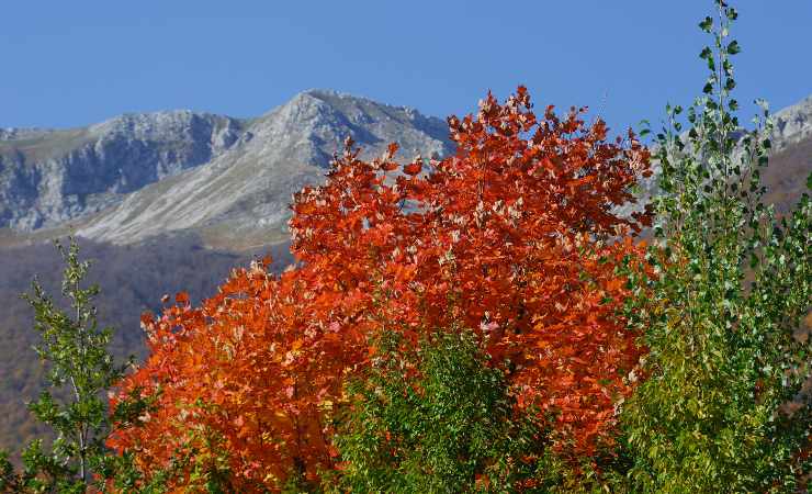 Vivere l'autunno nel Parco Nazionale delle 3 Regioni