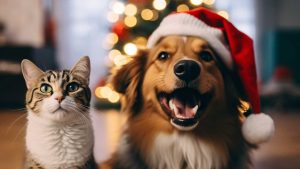 Un cane e un gatto durante le feste natalizie