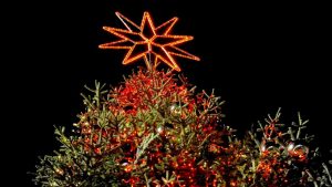 albero di natale campidoglio