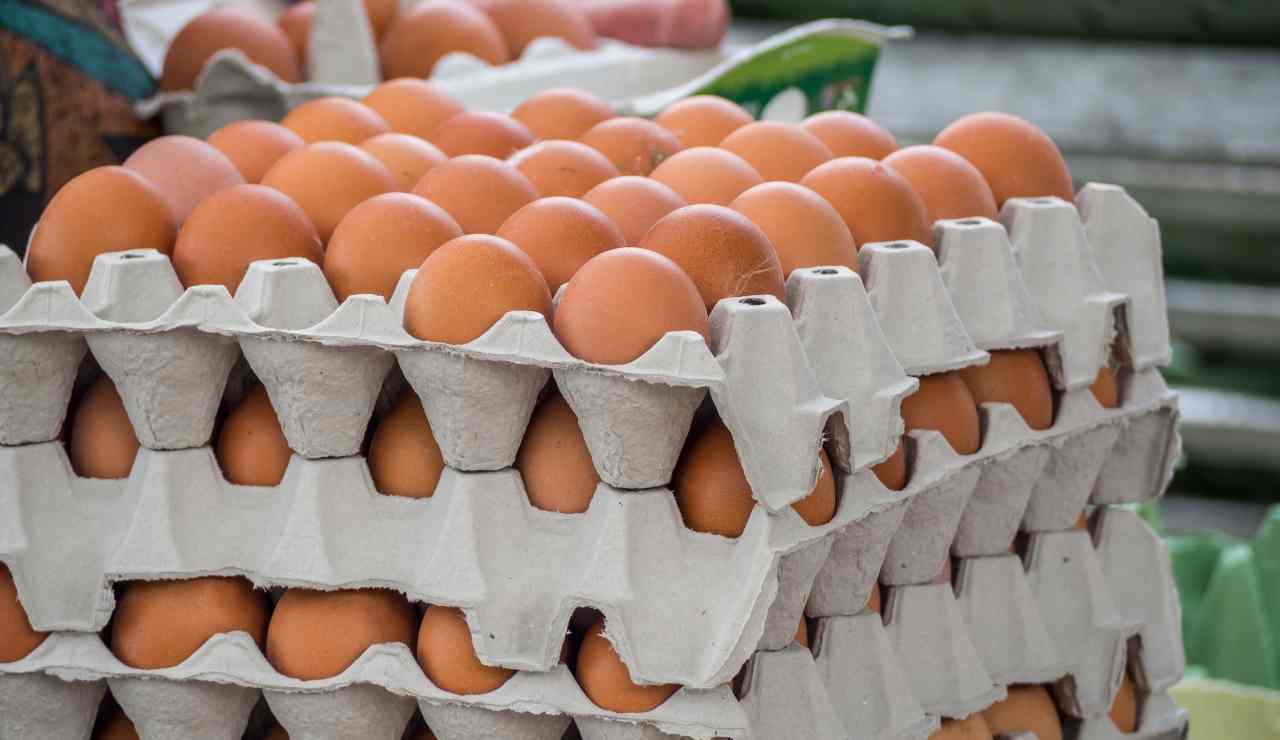 Ritirati lotti di uova per presenza di salmonella