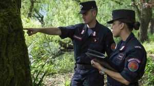 I Carabinieri forestali presentano a Roma i dati raccolti