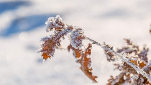 Paesaggio invernale (Immagine di repertorio)