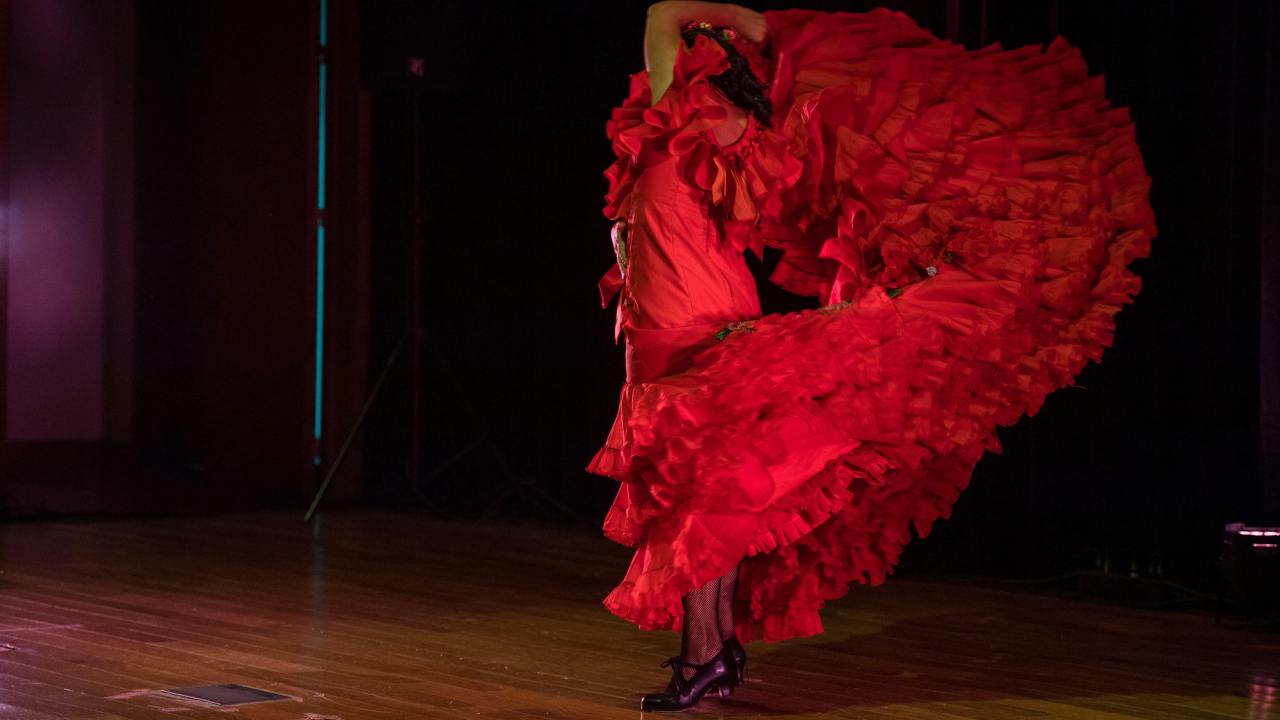 Flamenco- We call it flamenco- Romacronacanews.it