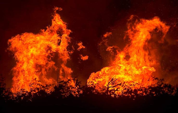 Incendio nella zona di via dell'Idroscalo ad Ostia (Immagine di repertorio)