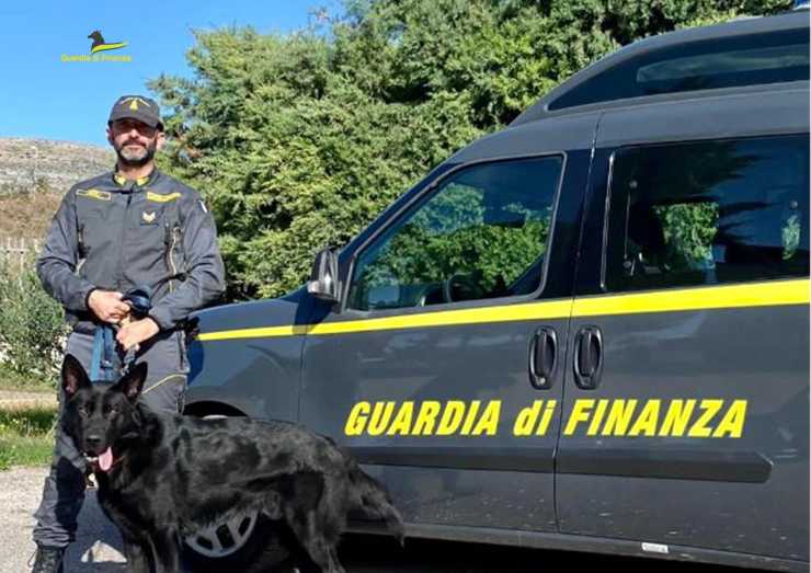Droga, Guardia di Finanza ferma un 46enne diretto in Sicilia a bordo di un’autovettura che conteneva oltre 125 kg di hashish