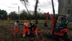 Al via la riforestazione a Roma