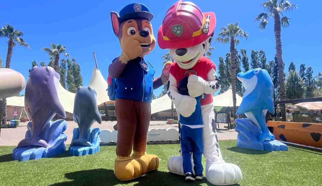 Paw Patrol Zoomarine